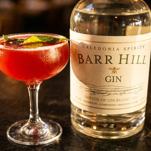 A red cocktail with mint garnish sits next to a bottle of Barr Hill Gin on a dark surface.